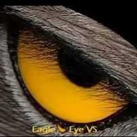Eagle Eye Video Surveillance